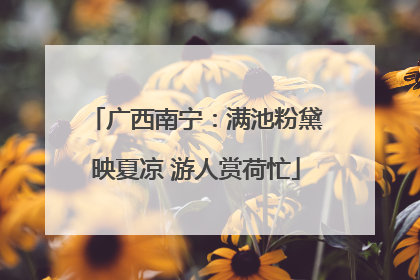 广西南宁：满池粉黛映夏凉 游人赏荷忙