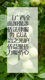 广西全面加强涉侨法律服务 以法治之光护侨益聚侨力暖侨心