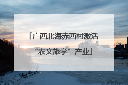 广西北海赤西村激活“农文旅学”产业