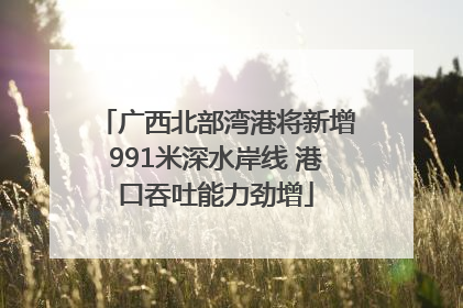 广西北部湾港将新增991米深水岸线 港口吞吐能力劲增