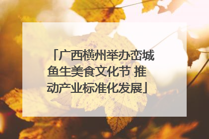 广西横州举办峦城鱼生美食文化节 推动产业标准化发展