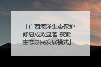 广西海洋生态保护修复成效显著 探索生态惠民发展模式