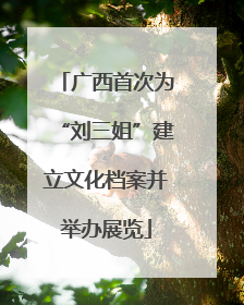 广西首次为“刘三姐”建立文化档案并举办展览