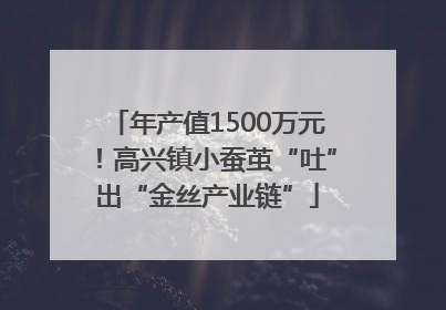 年产值1500万元！高兴镇小蚕茧“吐”出“金丝产业链”