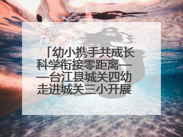 幼小携手共成长科学衔接零距离——台江县城关四幼走进城关三小开展幼小衔接活动