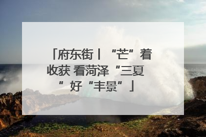 府东街丨“芒”着收获 看菏泽“三夏”好“丰景”
