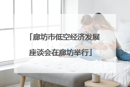 廊坊市低空经济发展座谈会在廊坊举行