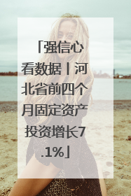强信心 看数据丨河北省前四个月固定资产投资增长7.1%