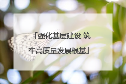 强化基层建设 筑牢高质量发展根基
