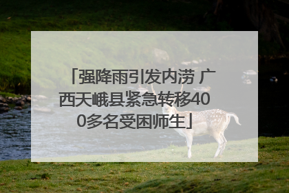 强降雨引发内涝 广西天峨县紧急转移400多名受困师生