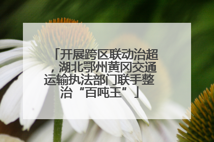 开展跨区联动治超，湖北鄂州黄冈交通运输执法部门联手整治“百吨王”