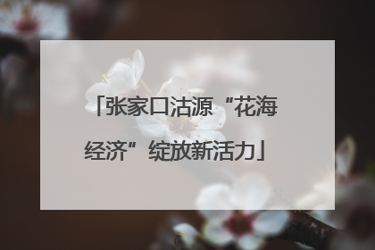 张家口沽源“花海经济”绽放新活力