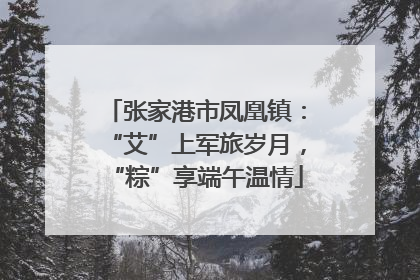 张家港市凤凰镇：“艾”上军旅岁月，“粽”享端午温情