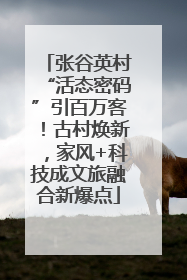 张谷英村“活态密码”引百万客！古村焕新，家风+科技成文旅融合新爆点