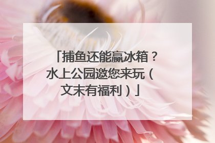 捕鱼还能赢冰箱？水上公园邀您来玩（文末有福利）