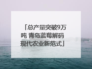 总产量突破9万吨 青岛蓝莓解码现代农业新范式