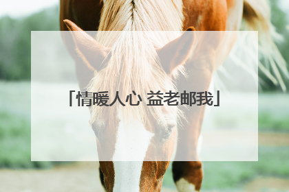 情暖人心 益老邮我