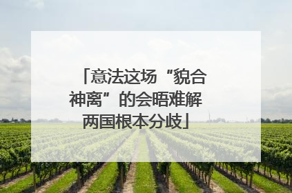 意法这场“貌合神离”的会晤难解两国根本分歧