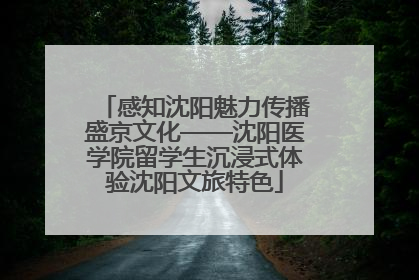 感知沈阳魅力传播盛京文化——沈阳医学院留学生沉浸式体验沈阳文旅特色