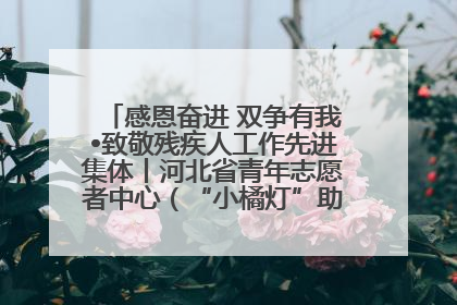 感恩奋进 双争有我•致敬残疾人工作先进集体丨河北省青年志愿者中心（“小橘灯”助残接力计划实施团队）：用温暖陪伴，守护特殊孩子成长