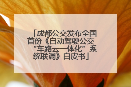 成都公交发布全国首份《自动驾驶公交“车路云一体化”系统联调》白皮书