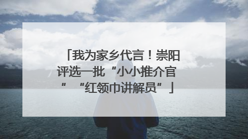 我为家乡代言！崇阳评选一批“小小推介官”“红领巾讲解员”