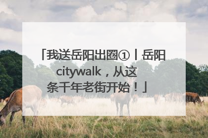 我送岳阳出圈①丨岳阳citywalk，从这条千年老街开始！