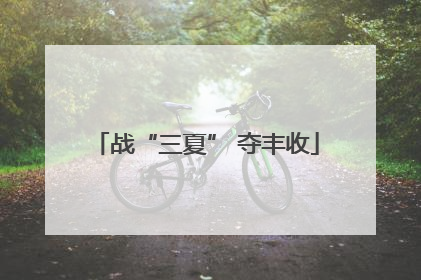 战“三夏” 夺丰收