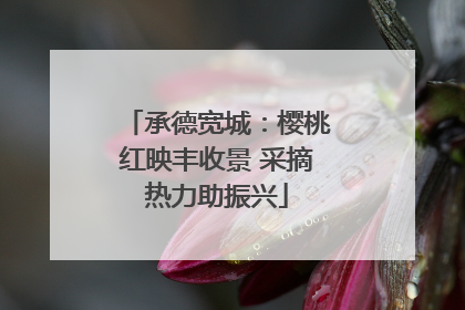 承德宽城：樱桃红映丰收景 采摘热力助振兴