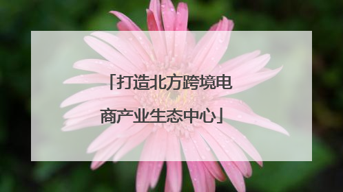 打造北方跨境电商产业生态中心
