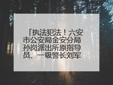 执法犯法！六安市公安局金安分局孙岗派出所原指导员、一级警长刘军被“双开”
