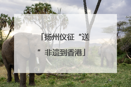 扬州仪征“送”非遗到香港