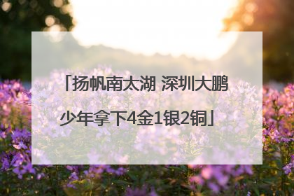 扬帆南太湖 深圳大鹏少年拿下4金1银2铜
