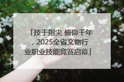 技于指尖 俯仰千年，2025全省文物行业职业技能竞赛启幕