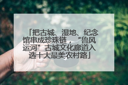 把古城、湿地、纪念馆串成珍珠链，“鲁风运河”古城文化廊道入选十大最美农村路