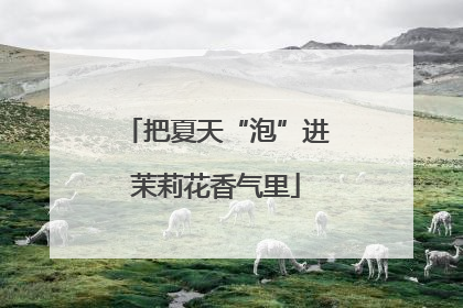 把夏天“泡”进茉莉花香气里