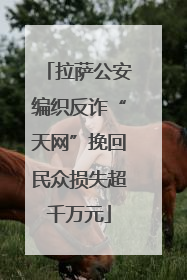 拉萨公安编织反诈“天网”挽回民众损失超千万元