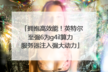 拥抱高效能！英特尔至强6为g4il算力服务器注入强大动力
