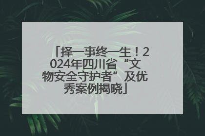 择一事终一生！2024年四川省“文物安全守护者”及优秀案例揭晓