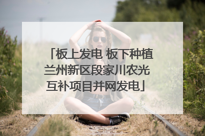 板上发电 板下种植 兰州新区段家川农光互补项目并网发电