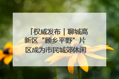 权威发布｜聊城高新区“顾乡平野”片区成为市民城郊休闲全新目的地