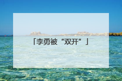 李勇被“双开”