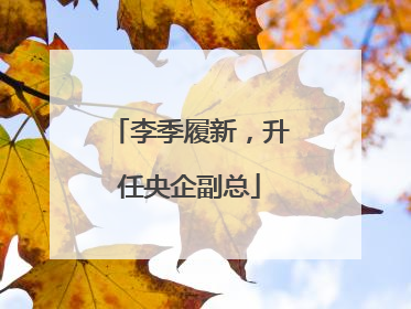 李季履新，升任央企副总