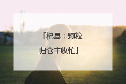 杞县：颗粒归仓丰收忙