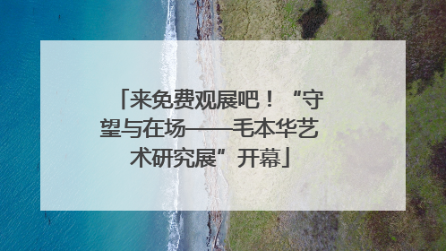 来免费观展吧！“守望与在场——毛本华艺术研究展”开幕