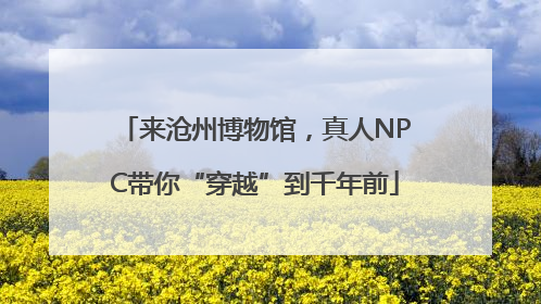 来沧州博物馆，真人NPC带你“穿越”到千年前