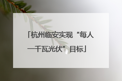 杭州临安实现“每人一千瓦光伏”目标