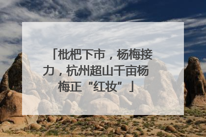 枇杷下市，杨梅接力，杭州超山千亩杨梅正“红妆”
