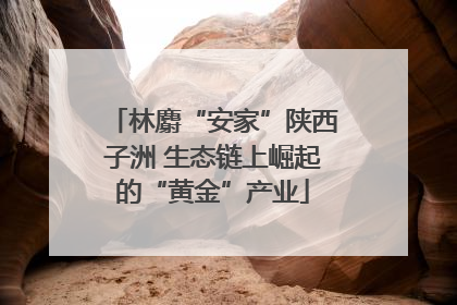 林麝“安家”陕西子洲 生态链上崛起的“黄金”产业