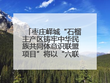 枣庄峄城“石榴主产区铸牢中华民族共同体意识联盟项目”将以“六联”活动为抓手深化品牌建设
